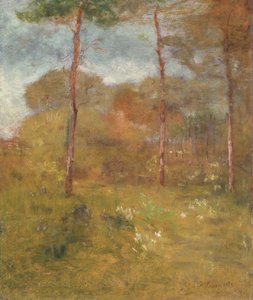 Orange Road, Tarpon Springs, ca. 1893 von George Snr. Inness