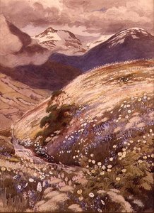 Alpenblumen von George Soper