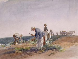 Die Rübenernte von George Soper