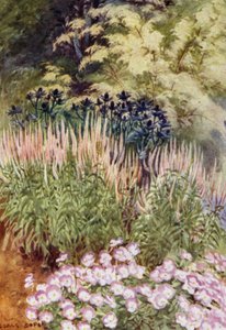 Veronica spicata rosea mit Eryngiums und Violas von George Soper