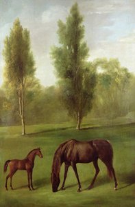 Eine kastanienbraune Stute und Fohlen in einer bewaldeten Landschaft, ca. 1761-63 von George Stubbs