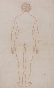 Vergleichende anatomische Darstellung der Struktur des menschlichen Körpers mit der eines Tigers und eines gewöhnlichen Huhns: Menschlicher Körper, Rückansicht (Umrisszeichnung für Tafel VII) von George Stubbs
