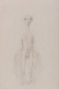 Vergleichende anatomische Darstellung der Struktur des menschlichen Körpers mit der eines Tigers und eines gewöhnlichen Huhns: Eule stehend, Vorderansicht von George Stubbs