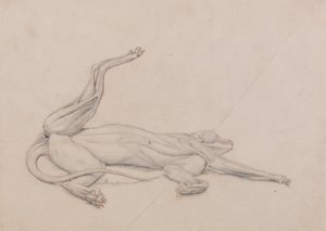 Vergleichende anatomische Darstellung der Struktur des menschlichen Körpers mit der eines Tigers und eines gewöhnlichen Huhns: Tiger, liegend, ventral betrachtet von George Stubbs