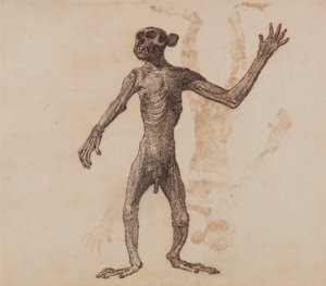 Vergleichende anatomische Darstellung der Struktur des menschlichen Körpers mit der eines Tigers und eines gewöhnlichen Huhns: Affe stehend, Vorderansicht von George Stubbs