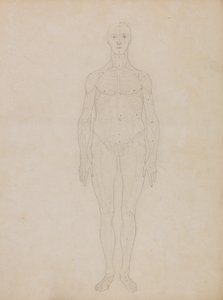 Vergleichende anatomische Darstellung der Struktur des menschlichen Körpers mit der eines Tigers und eines Haushuhns: Studie der menschlichen Figur, Vorderansicht (Wahrscheinlich in Bezug auf Tafel XI) von George Stubbs