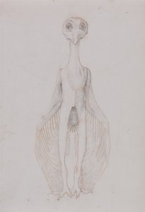 Vergleichende anatomische Darstellung der Struktur des menschlichen Körpers mit der eines Tigers und eines gewöhnlichen Huhns: Eule stehend, Vorderansicht von George Stubbs