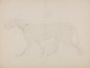 Vergleichende anatomische Darstellung der Struktur des menschlichen Körpers mit der eines Tigers und eines gewöhnlichen Huhns: Tigerkörper, Seitenansicht (Studie der oberen Muskelschichten) von George Stubbs