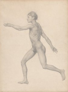 Vergleichende anatomische Darstellung der Struktur des menschlichen Körpers mit der eines Tigers und eines gewöhnlichen Huhns: Menschliche Figur, Seitenansicht, unzerlegt von George Stubbs