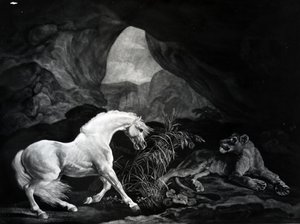 Ein Pferd erschreckt durch eine Löwin, graviert von Benjamin Green, 1774