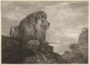 Ein Löwe (Ein Löwe ruht auf einem Felsen) graviert vom Künstler von George Stubbs