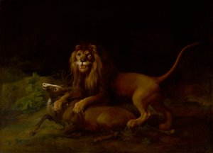 Ein Löwe greift einen Hirsch an, zwischen 1765 und 1766 von George Stubbs