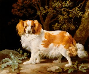 Ein Leber- und Weißer King Charles Spaniel in einer bewaldeten Landschaft von George Stubbs