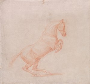 Ein tänzelndes Pferd, nach rechts gewandt von George Stubbs