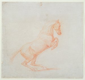 Ein tänzelndes Pferd, nach rechts gewandt, 1790 von George Stubbs