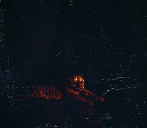 Ein Tiger