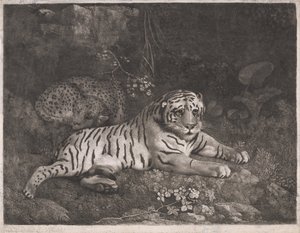 Ein Tiger und ein schlafender Leopard von George Stubbs