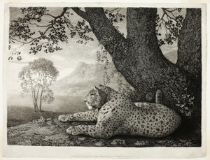 Ein Tiger (Ein liegender Leopard bei einem Baum)