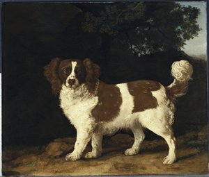 Fanny, der Lieblingsspaniel von Mrs. Musters, stehend in einer bewaldeten Landschaft von George Stubbs