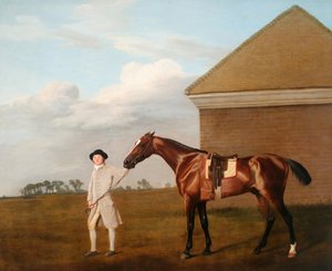 Firetail mit seinem Trainer am Rubbing-Down House auf Newmarket Heath von George Stubbs
