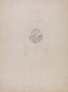 Menschliche Figur, Vorderansicht (Umrisszeichnung) von George Stubbs