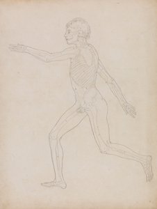 Menschliche Figur, seitliche Ansicht