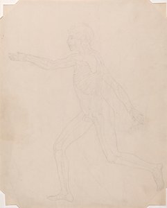 Menschliche Figur, Seitenansicht