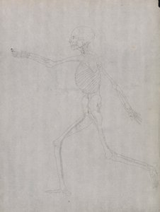 Menschliche Figur, Seitenansicht