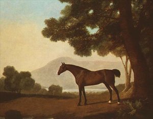 "Johnny", ein brauner Hengst in einer bewaldeten Landschaft von George Stubbs