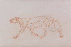 Leopardenkörper, Seitenansicht von George Stubbs