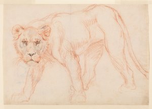Löwin auf der Pirsch von George Stubbs
