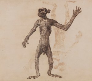 Affe im Stehen, Vorderansicht von George Stubbs