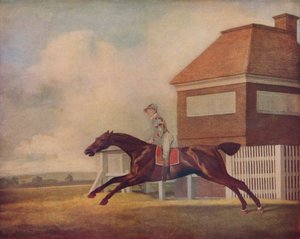 Mr. Ogilvys Bay Rennpferd Trentham in Newmarket mit Jockey, 1771 von George Stubbs