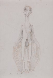 Eule stehend, Vorderansicht von George Stubbs