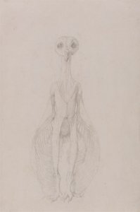 Eule stehend, Vorderansicht von George Stubbs
