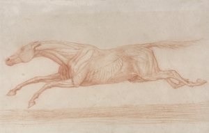 Studie eines Rennpferdes in Aktion: nach links galoppierend von George Stubbs