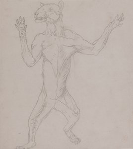Studie eines Tigers, in menschlicher Haltung stehend, aus A Comparative Anatomical Exposition of the Structure of the Human Body with that of a Tiger and a Common Fowl, 1795-1806 von George Stubbs