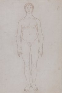 Studie der menschlichen Figur, Vorderansicht (Umrisszeichnung für Tafel VI)