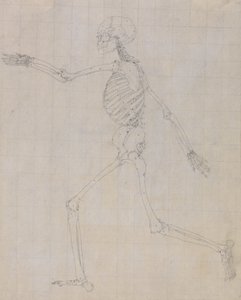 Studie der menschlichen Figur, Seitenansicht, fertige Studie für Tabelle III, aus Einem Vergleichenden Anatomischen Exposé der Struktur des menschlichen Körpers mit dem eines Tigers und eines gewöhnlichen Huhns, 1795-1806 von George Stubbs