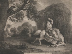 Die Frau des Bauern und der Rabe