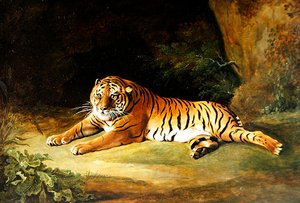 Tiger von George Stubbs