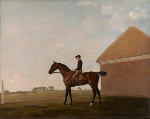 Turf, mit Jockey, in Newmarket von George Stubbs