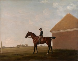 Turf, mit Jockey in Newmarket von George Stubbs