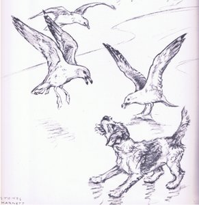 Rosie vertreibt die Möwen, aus Mudlarks, veröffentlicht von Collins