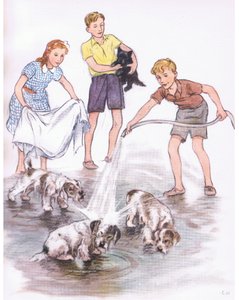 Hunde waschen, aus Pets Limited veröffentlicht von Collins