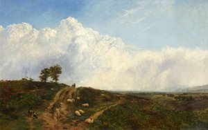 Kreuzungen über die Heide