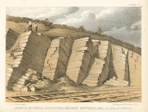Fugen im unteren Kalkstein, Eisenbahnschnitt, Malahide, nahe Dublin