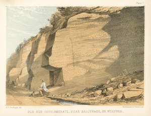 Alter roter Konglomerat, nahe Ballyhack, Co Wexford