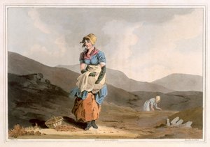 Das Cranberry-Mädchen, graviert von Robert Havell dem Älteren, veröffentlicht 1814 von Robinson und Son, Leeds von George Walker
