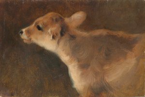 Ein Kalb (1879)